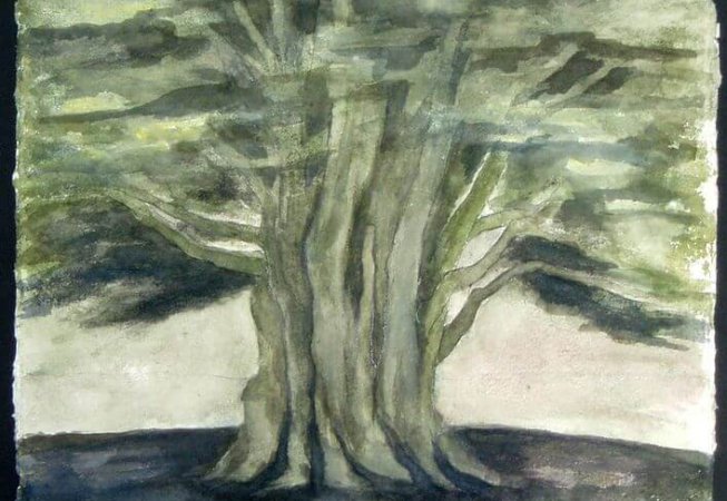Joy Godfrey The Clevedon Cedar watercolour on handmade paper