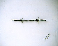 Untitled Barbed Wire On Canvas By Joy Godfrey
